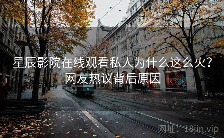 星辰影院在线观看私人为什么这么火？网友热议背后原因